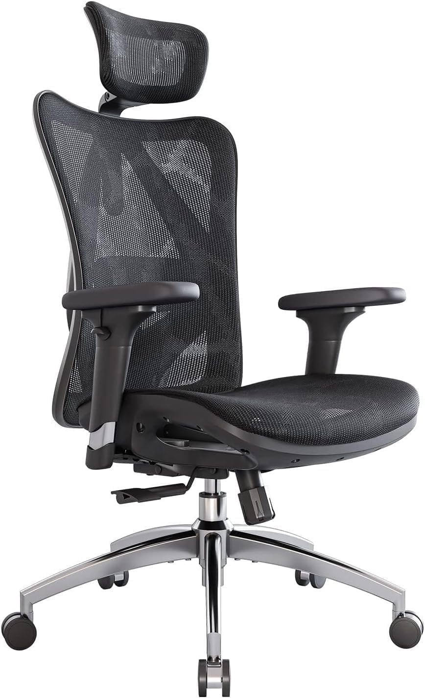 best computer chair for back pain Sihoo Doro C300